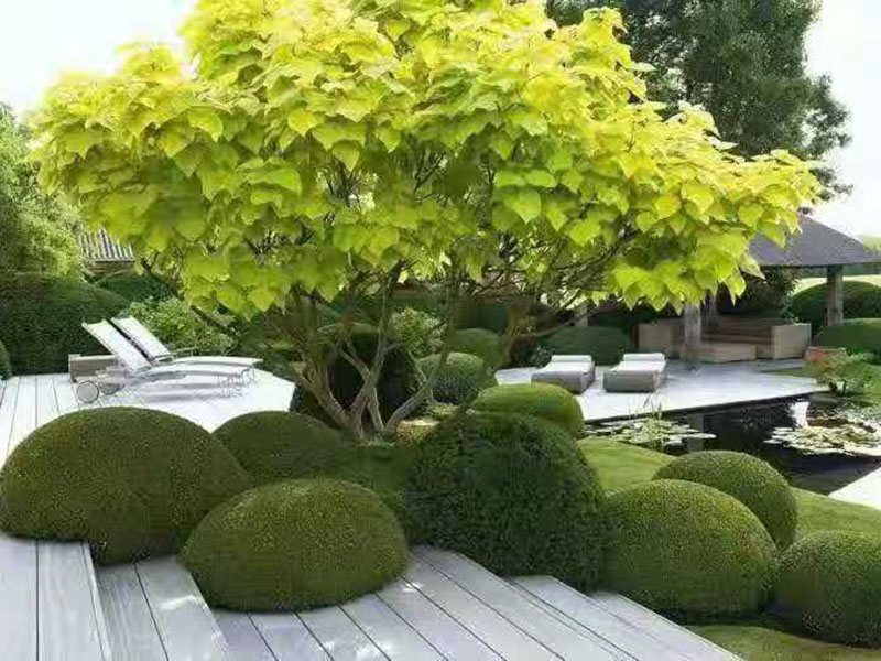 工程案例