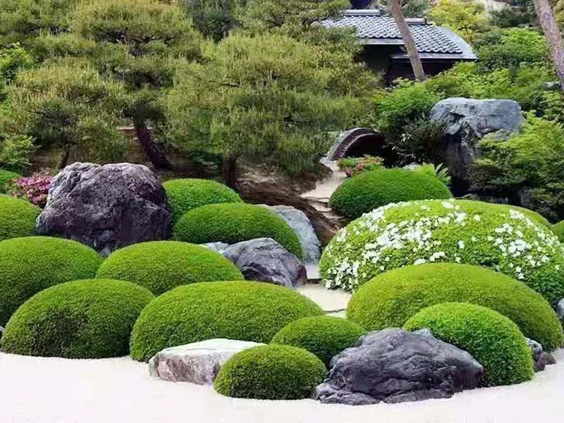 工程案例